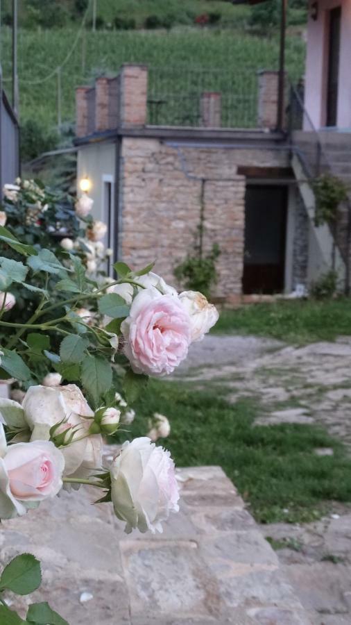 Corte Di Langa Cossano Belbo Екстериор снимка